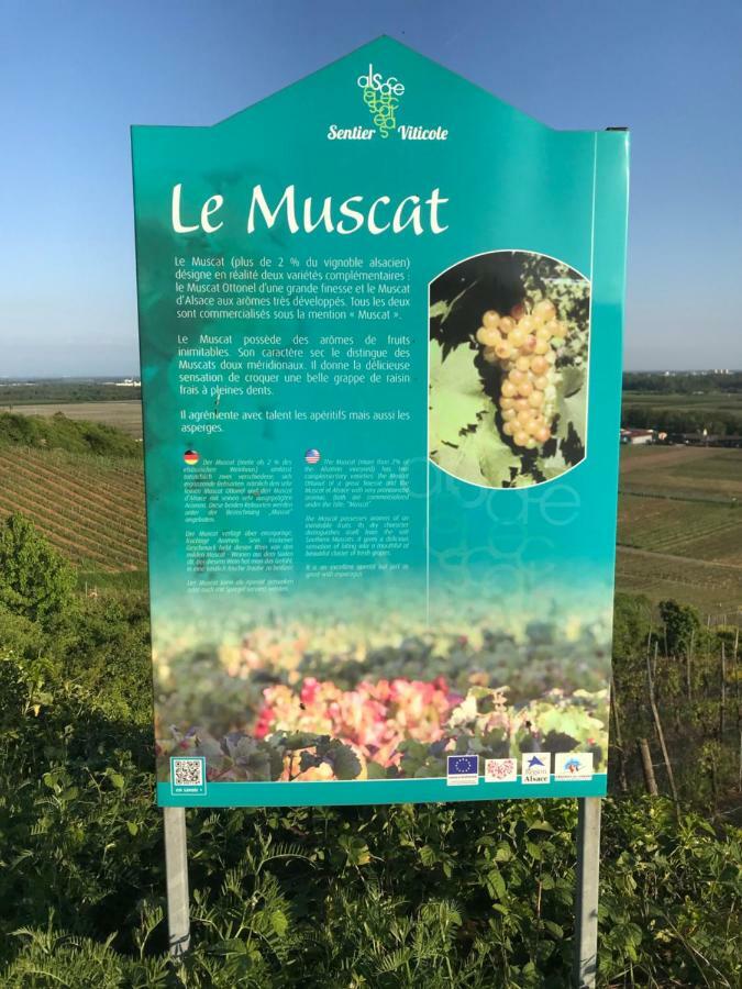 Le Muscat Apartment Колмар Екстериор снимка